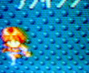 {͐ǂcB